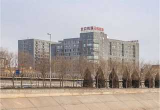 上海装饰品2号银粉末有哪些